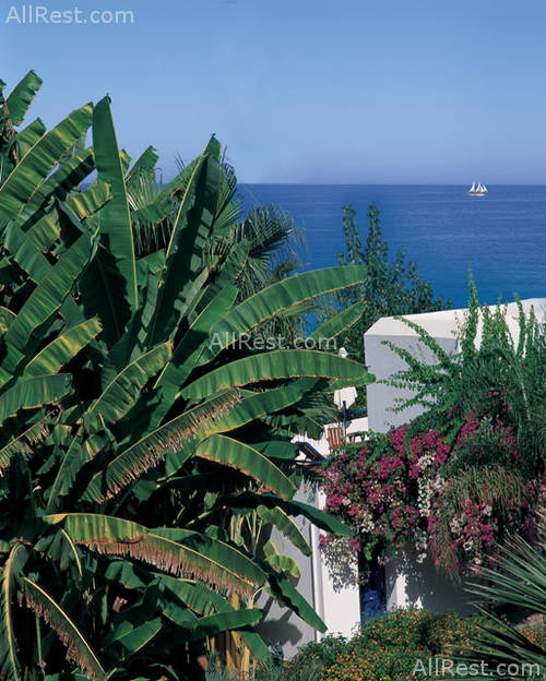 Azia Beach Hotel 15